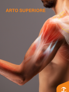 ARTO SUPERIORE